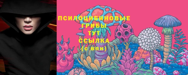 альфа пвп Беломорск