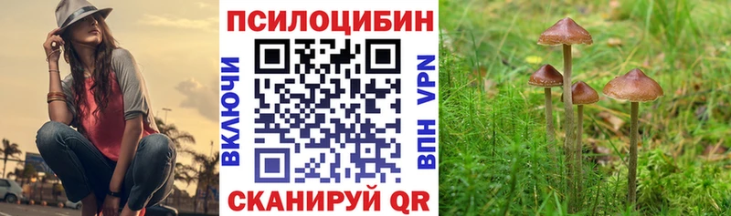 Галлюциногенные грибы Magic Shrooms наркошоп Благодарный
